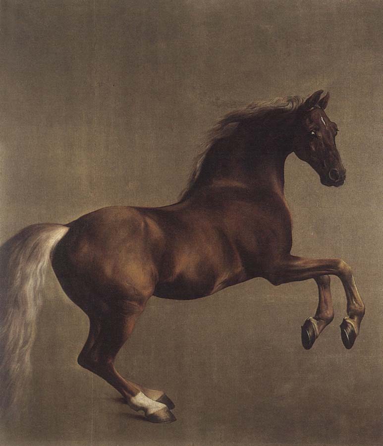 George Stubbs Whistlejacket